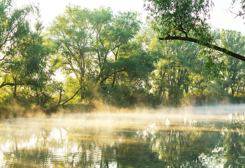 夏季寻常的河雾图片