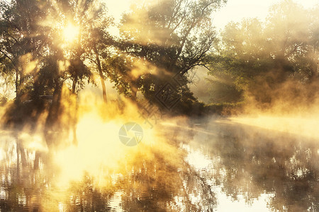夏季寻常的河雾高清图片