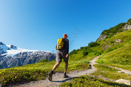 徒步旅行者出口冰川,凯奈峡湾公园,西沃德,阿拉斯加高清图片