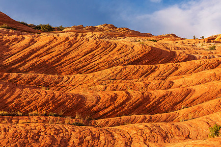 美国犹他州的砂岩地层背景图片