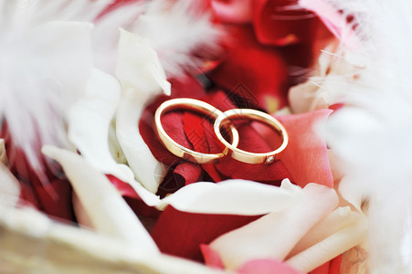 玫瑰花瓣结婚戒指图片