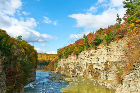 莱奇沃思州立公园河流森林的秋季景观图片