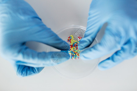 科学化学生物学医学人的密切科学家医生的手,实验室将药丸内容物放入培养皿图片
