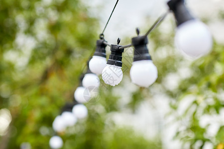 装饰,照明,电力,假日闪电的电灯泡花环悬挂雨天夏季花园图片