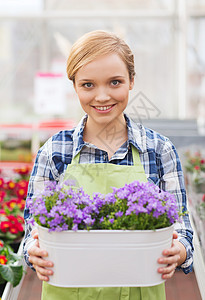 人,园艺职业快乐的女人园丁温室里着花图片