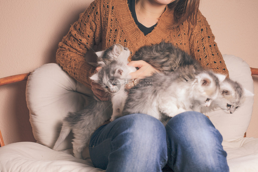 四只小猫女孩的膝盖上靠近图片