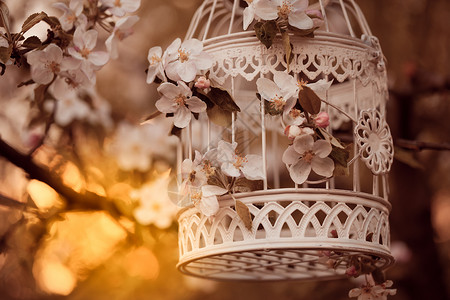 鸟笼苹果花树上,晚霞中鸟笼浪漫的装饰图片