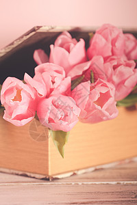 破旧别致的装饰粉红色郁金香复古书书里的郁金香图片