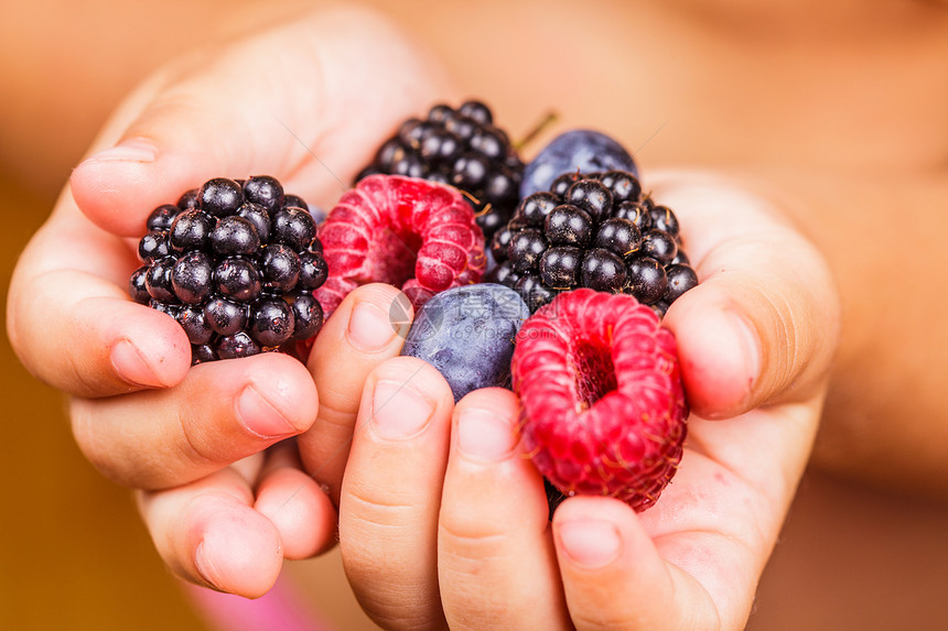 夏季野生浆果手覆盆子,草莓,黑莓蓝莓图片