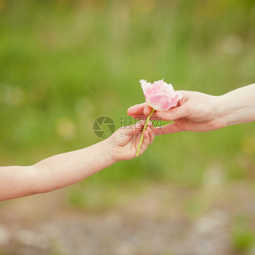 女儿给妈妈朵花,母亲节图片