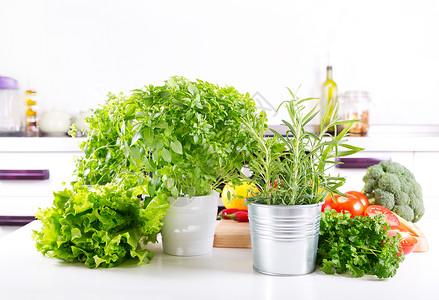 厨房里新鲜的绿色草药蔬菜图片
