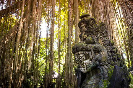 猴子森林桥上的龙雕,乌布,巴厘岛高清图片