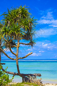 印度尼西亚吉利群岛美丽的海洋海岸线高清图片