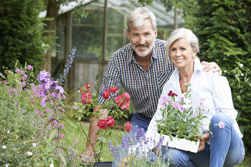 成熟的夫妇花园里种植植物图片