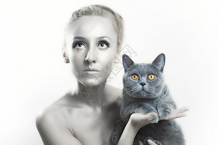 闪亮的猫轻漂亮的女人,脸上银色的妆容,着灰色的猫英国背景