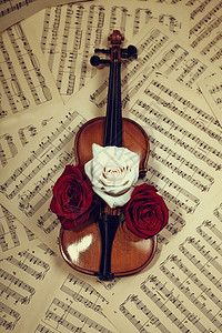 旧小提琴与音符玫瑰特写图片