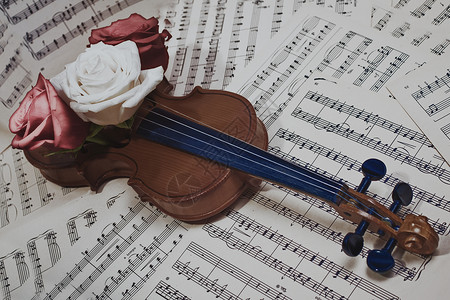 带着音符玫瑰特写的老小提琴高清图片