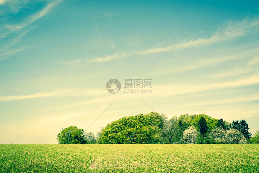 田园风光,绿树成荫图片