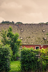 绿色篱笆的老房子图片