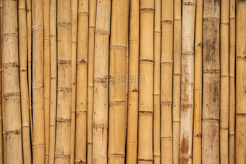 亚洲竹子背景表垂直排列图片