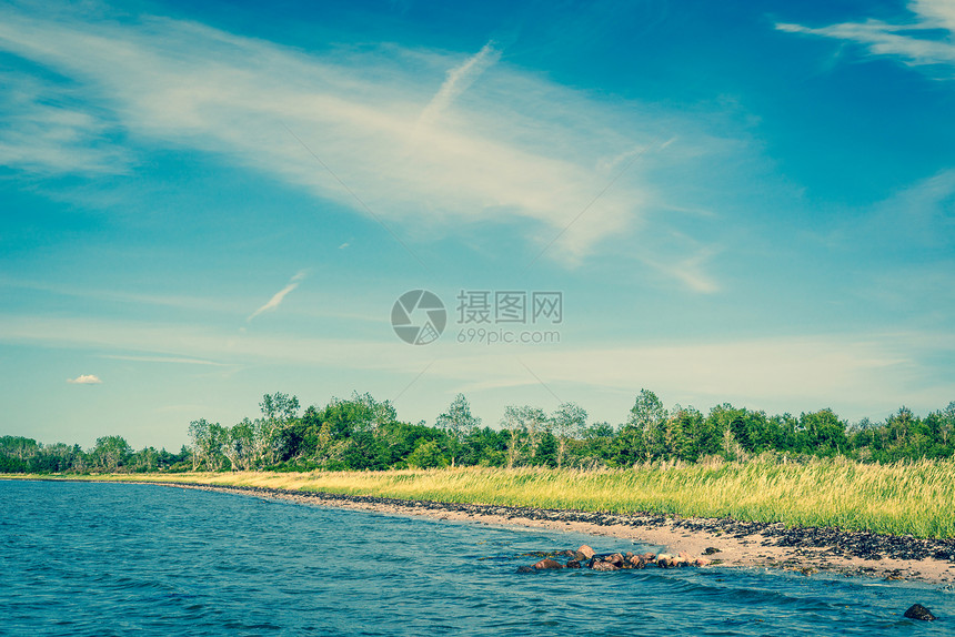 丹麦的海滩上青草碧水图片