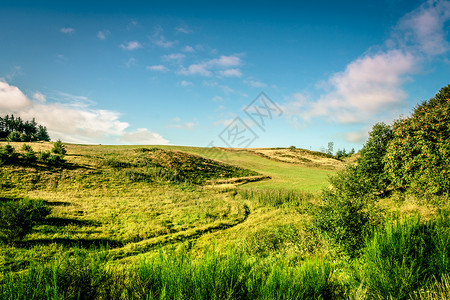绿色的田野,阳光蓝天图片