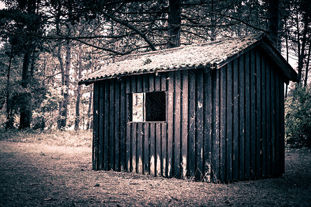 黑暗而神秘的森林里的幽灵小屋图片