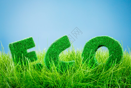 蓝色背景上绿色草地上的字母生态图片