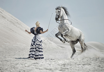 纯阿拉伯血统诱人的金发女郎训练马背景
