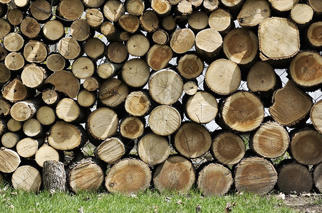 堆叠堆中的切割木材原木的背景图片