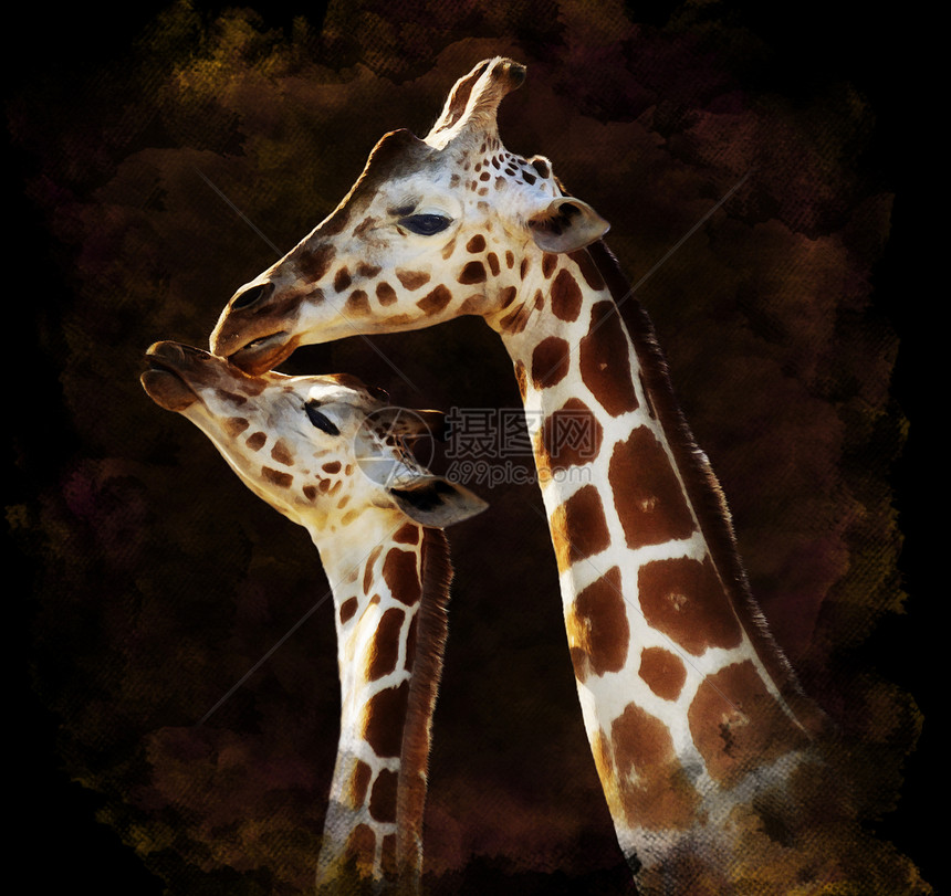水彩数字绘画的母亲婴儿长颈鹿黑暗的背景图片