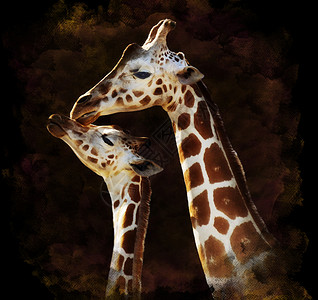 水彩数字绘画的母亲婴儿长颈鹿黑暗的背景图片