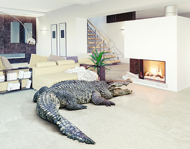 大鳄鱼放松豪华的内部照片CG元素合图片