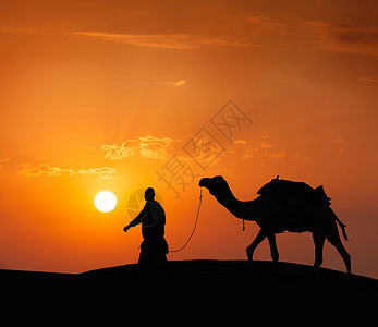 骆驼侠反刍动物旅游业高清图片