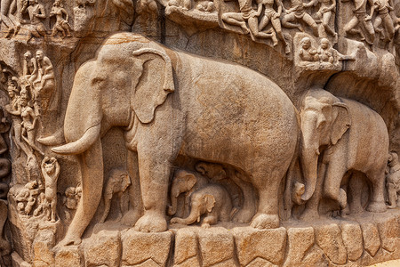 石雕大象大象下降恒河Arjunarsquo忏悔古代石雕纪念碑马哈巴利浦兰,泰米尔纳德,印度背景