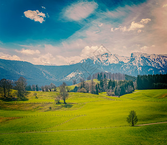 德国田园牧歌式田园乡村春天与阿尔卑斯山的背景巴伐利亚,德国图片