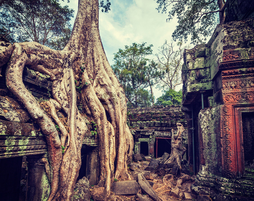 复古效果过滤了古旧风格的旅游形象与树根,塔普鲁姆寺,吴哥,柬埔寨图片