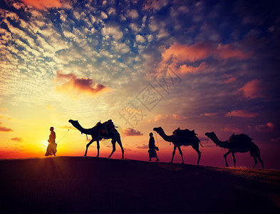 骆驼骑士复古效果过滤了拉贾斯坦旅行的时尚风格形象两个印度来客骆驼司机与骆驼轮廓沙丘的塔尔沙漠日落贾萨尔默,拉贾斯坦邦,印度背景