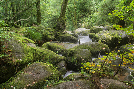 达特瓦贝基瀑布景观达特穆尔公园英格兰背景