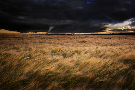 农场景观中的遥远龙卷风图片