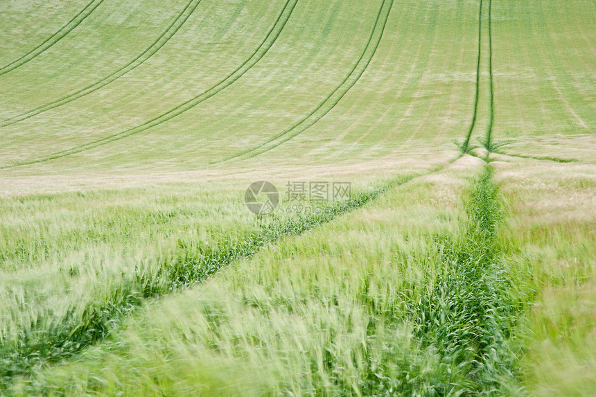 刮风的夏日景观中,沿着拖拉机线犁田中观看图片