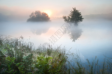 秋天,雾霭笼罩着湖,色彩鲜艳图片