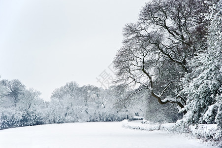 英国乡村的冬季雪景图片