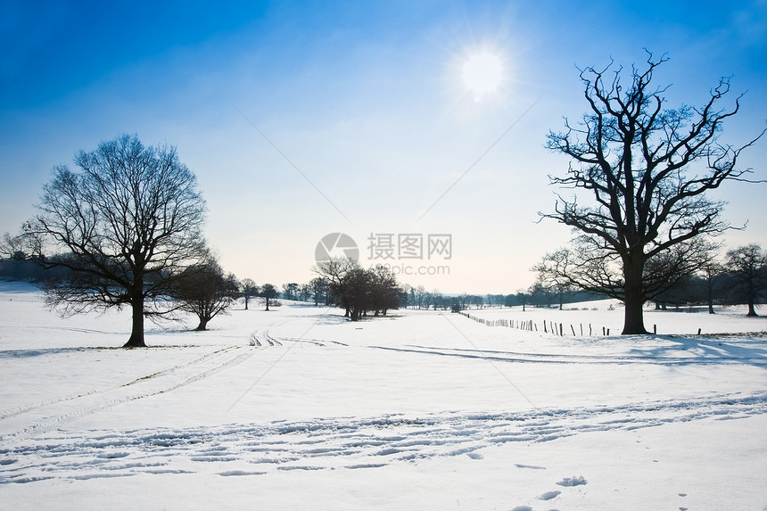 乡村景观跨越乡村背景,冬季雪地明亮的蓝天背景图片