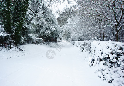 寒冷的12月雪冬景观乡村场景与英国乡村背景