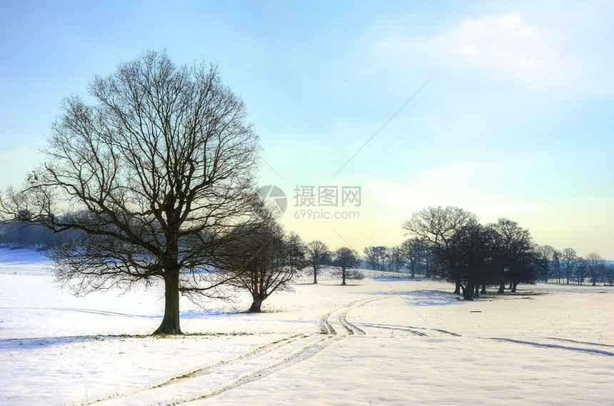 乡村景观跨越乡村背景,冬季雪地明亮的蓝天背景图片