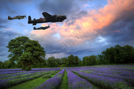 战斗机与军人美丽的形象,惊人的日落与大气云天空充满活力的成熟薰衣草田野英国乡村景观背景