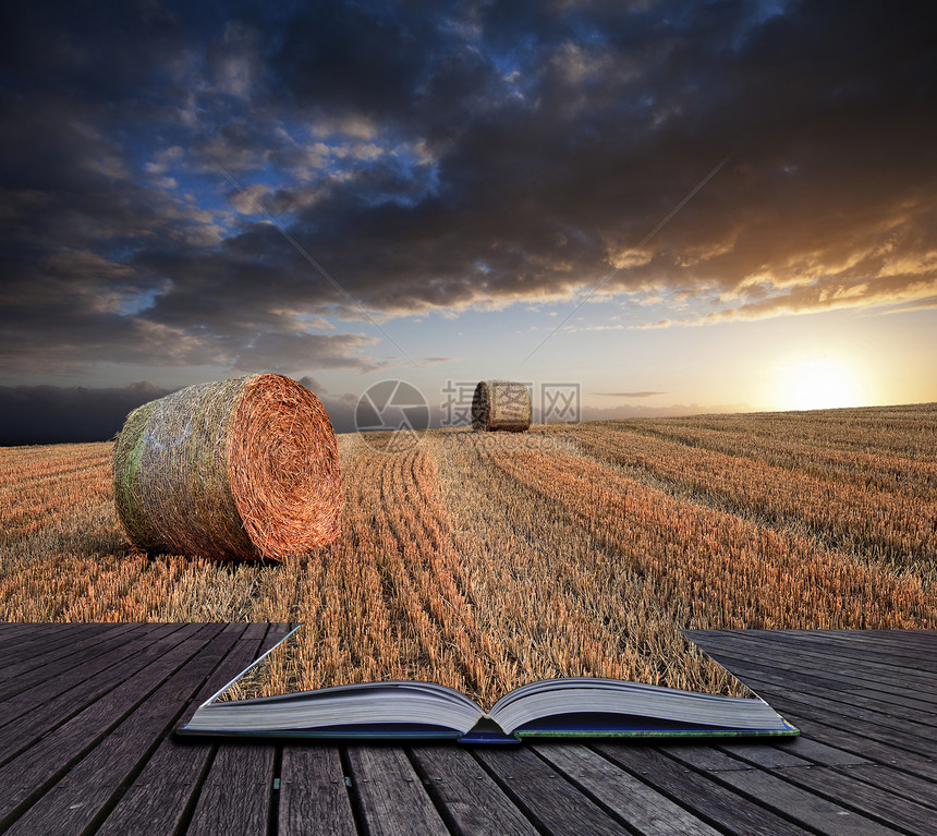 创意,可爱的日落黄金时间景观干草捆田野英国农村图片