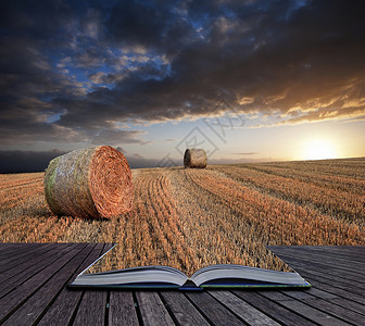 创意,可爱的日落黄金时间景观干草捆田野英国农村背景