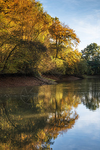 森林湖泊美丽的秋天景观图片